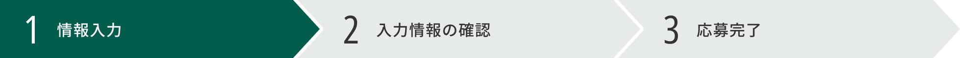 1 情報入力 2 情報入力の確認 3 応募完了